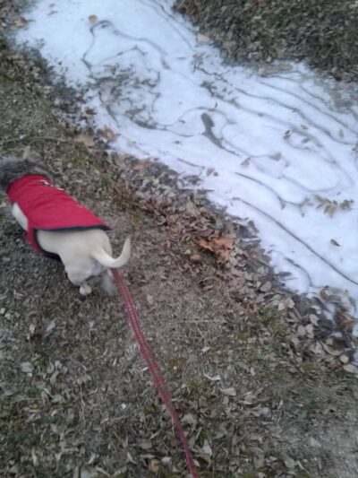 Norberg Park - Tulsa, OK