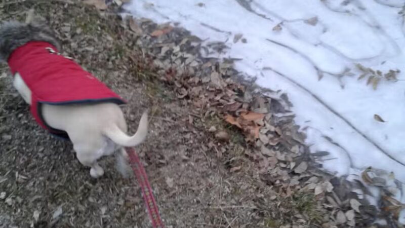 Norberg Park - Tulsa, OK