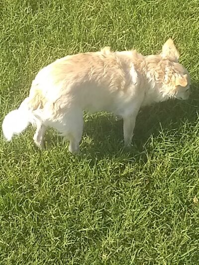 Regency Park - Tulsa, OK