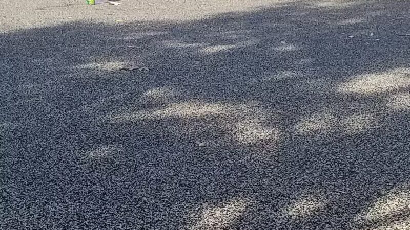 Regency Park - Tulsa, OK