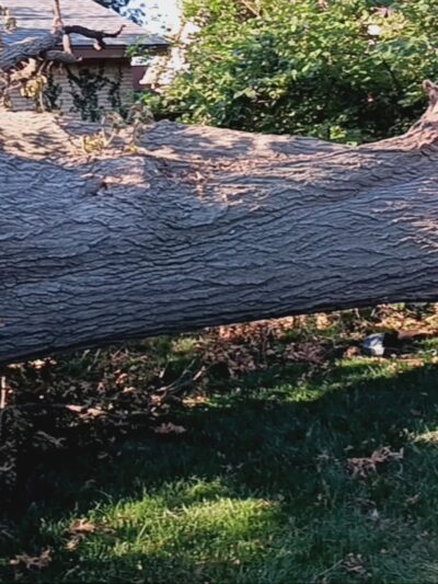 Rose Dew Park - Tulsa, OK