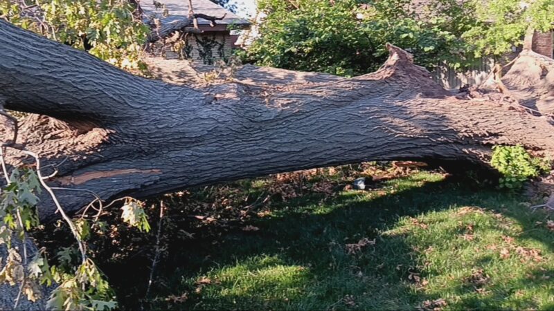 Rose Dew Park - Tulsa, OK