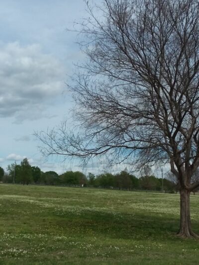 Rose Dew Park - Tulsa, OK