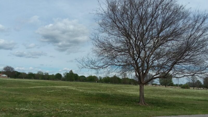 Rose Dew Park - Tulsa, OK