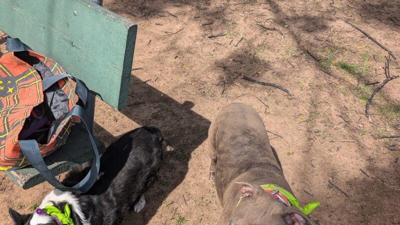 Route 66 Dog Park - Tulsa, OK