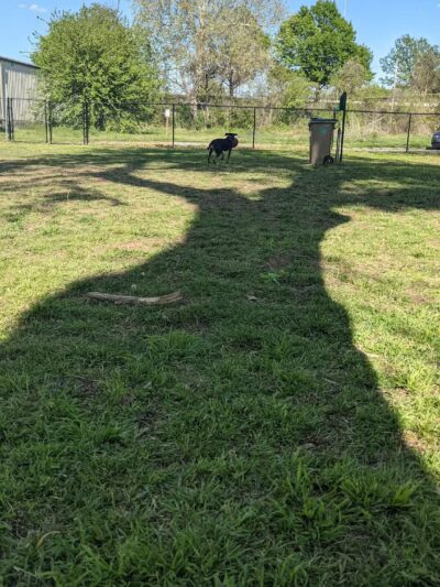 Route 66 Dog Park - Tulsa, OK