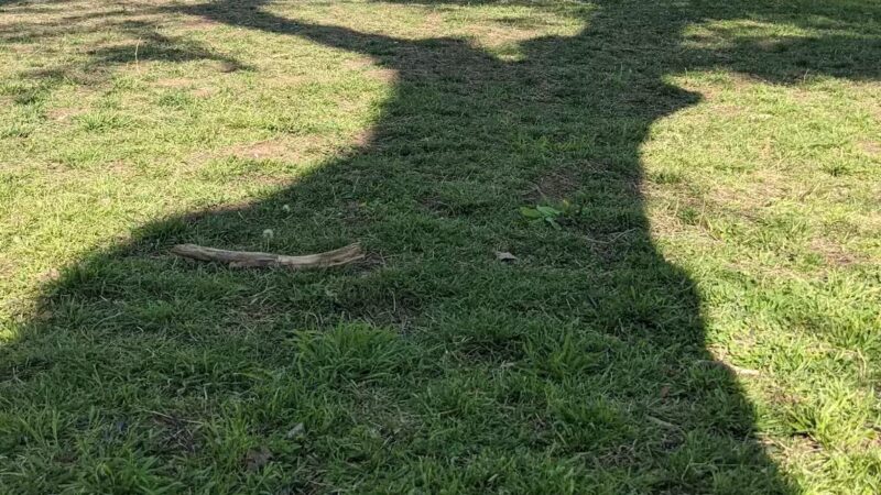 Route 66 Dog Park - Tulsa, OK