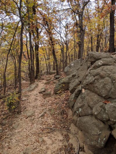 Turkey Mountain - Tulsa, OK