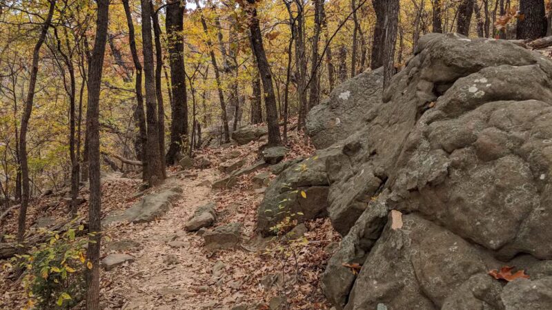 Turkey Mountain - Tulsa, OK