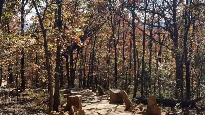 Turkey Mountain - Tulsa, OK