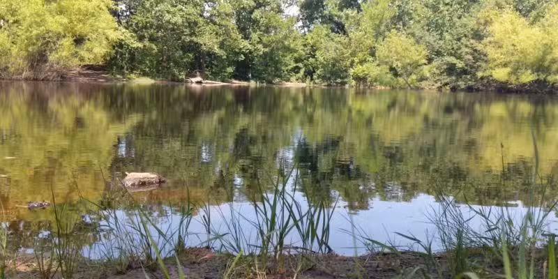 Turkey Mountain - Tulsa, OK