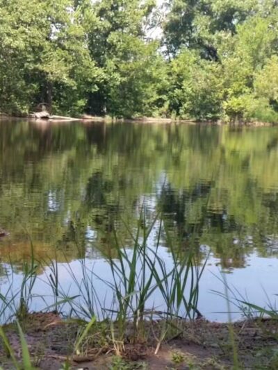 Turkey Mountain - Tulsa, OK