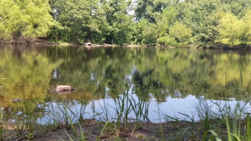 Turkey Mountain - Tulsa, OK