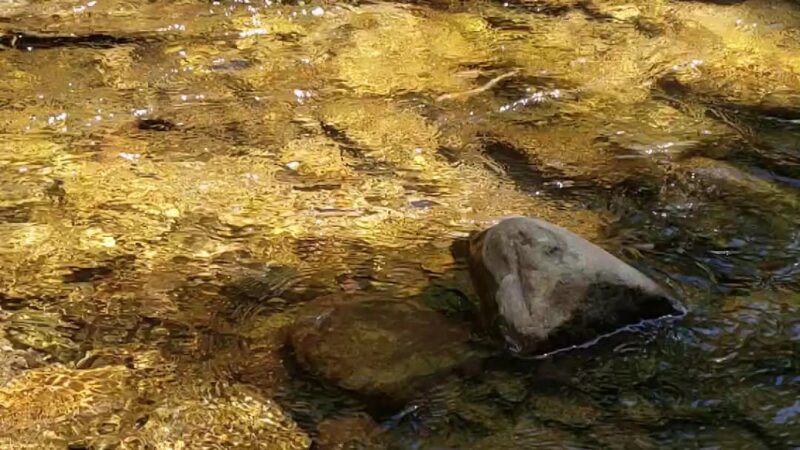 Creek Junction Park - Tunkhannock, PA