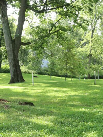 Vosburg Neck State Park - Tunkhannock, PA