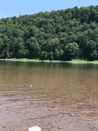 Vosburg Neck State Park - Tunkhannock, PA