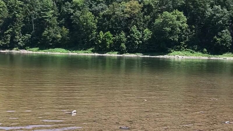 Vosburg Neck State Park - Tunkhannock, PA