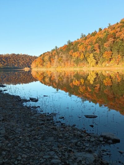 Vosburg Neck State Park - Tunkhannock, PA