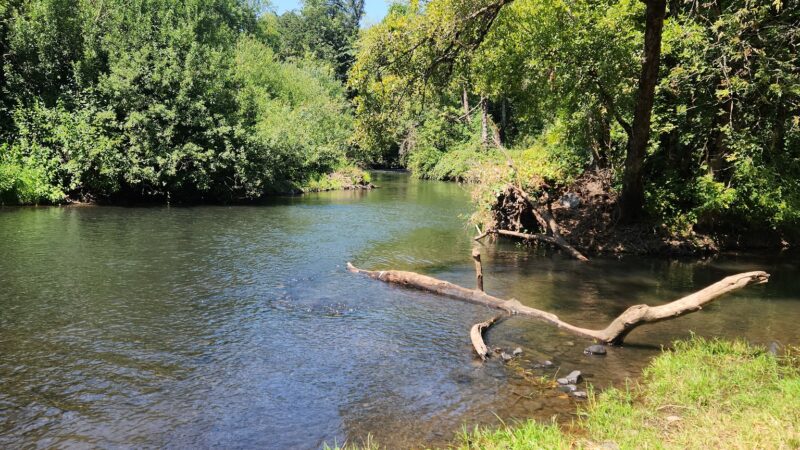 Turner City Park - Turner, OR