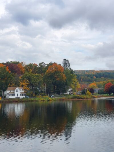 Dog Play Field - Turners Falls, MA