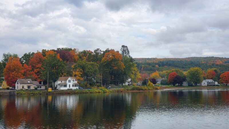 Dog Play Field - Turners Falls, MA
