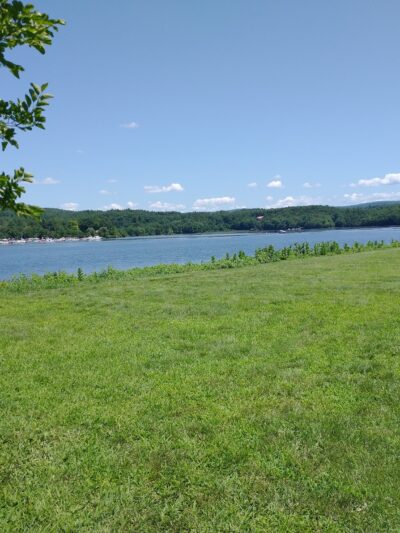 Dog Play Field - Turners Falls, MA