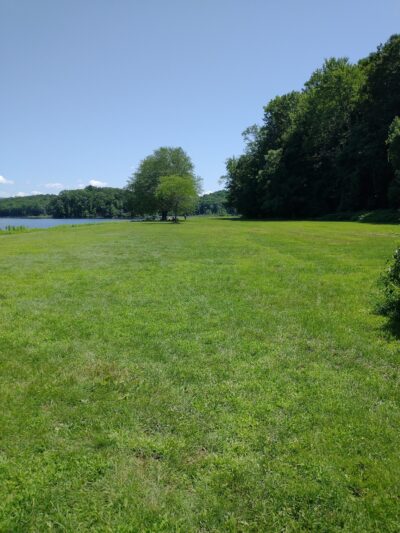 Dog Play Field - Turners Falls, MA