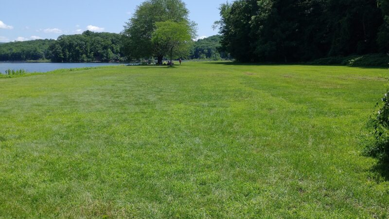 Dog Play Field - Turners Falls, MA