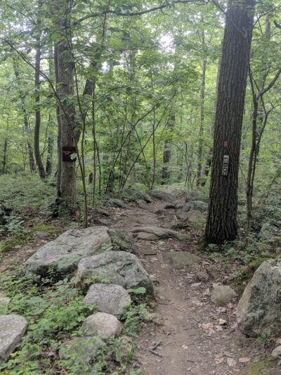 Sterling Forest State Park - Tuxedo Park, NY