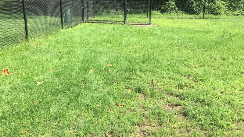 Tuxedo Dog Park - Tuxedo Park, NY