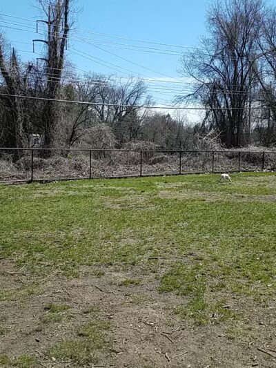 Tuxedo Dog Park - Tuxedo Park, NY