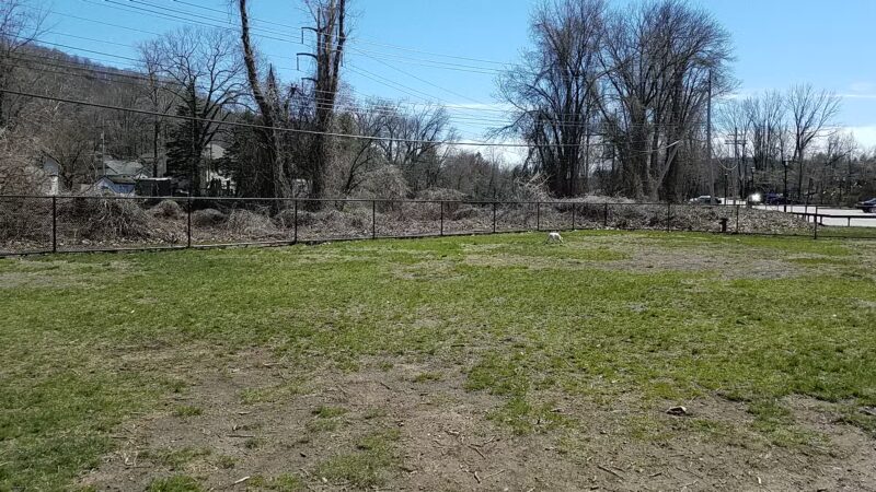 Tuxedo Dog Park - Tuxedo Park, NY