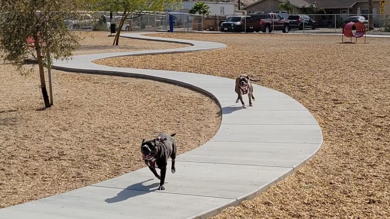 Twentynine Palms Dog Park - Twentynine Palms, CA