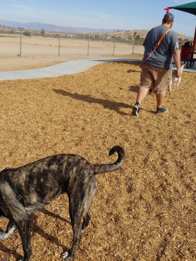 Twentynine Palms Dog Park - Twentynine Palms, CA