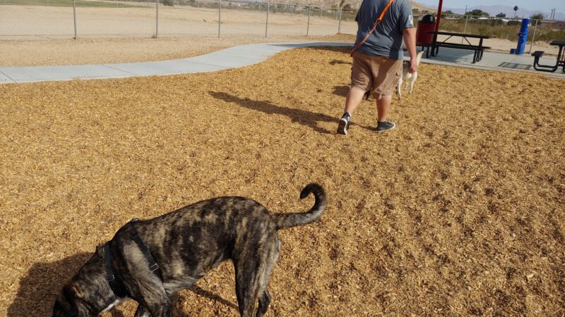 Twentynine Palms Dog Park - Twentynine Palms, CA