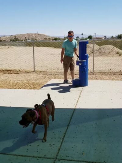 Twentynine Palms Dog Park - Twentynine Palms, CA