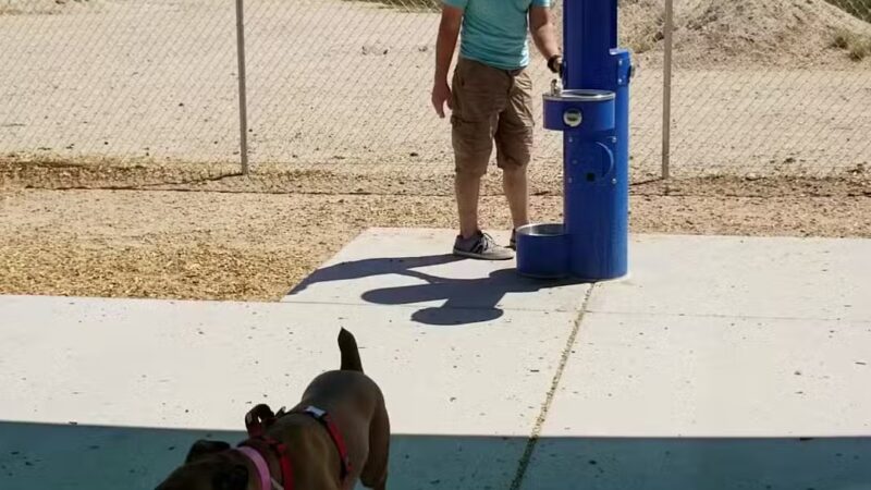 Twentynine Palms Dog Park - Twentynine Palms, CA