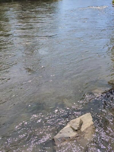 Twin Bridges Bike Camp - Twin Bridges, MT