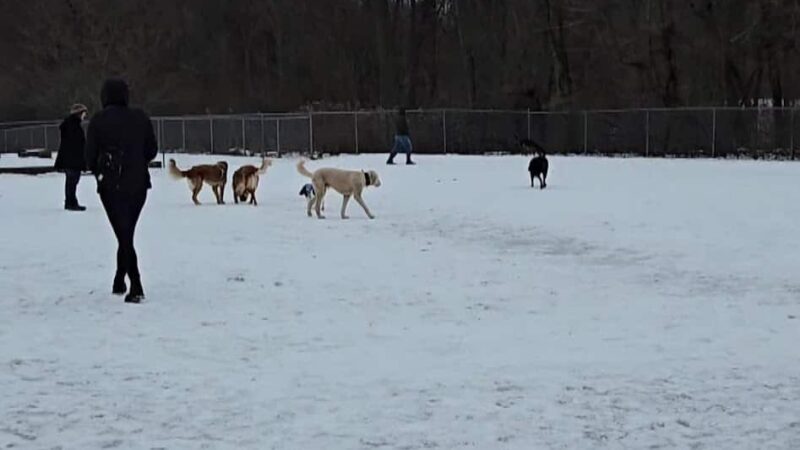 Twinsburg Dog Park - Twinsburg, OH