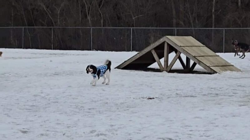 Twinsburg Dog Park - Twinsburg, OH