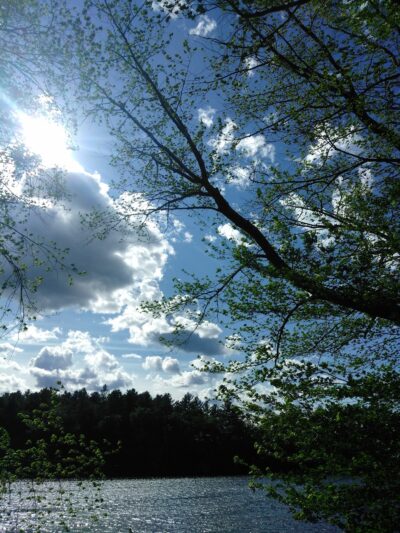 Riverfront Park - Tyngsborough, MA