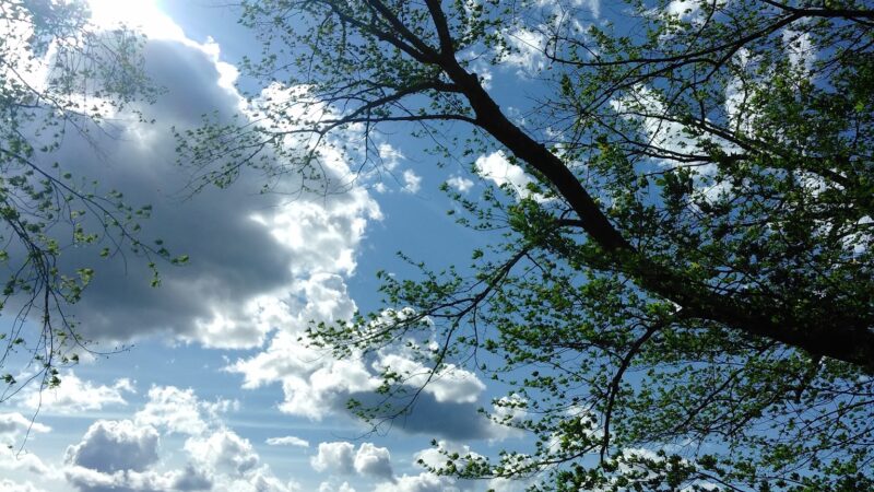 Riverfront Park - Tyngsborough, MA