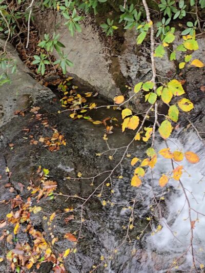 Crabtree Falls Parking Lot - Tyro, VA