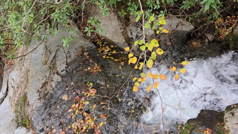 Crabtree Falls Parking Lot - Tyro, VA