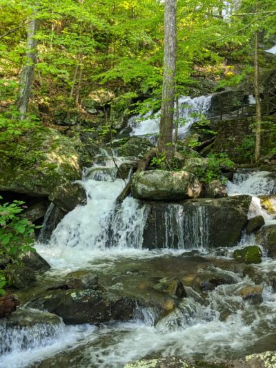 Crabtree Falls Parking Lot - Tyro, VA