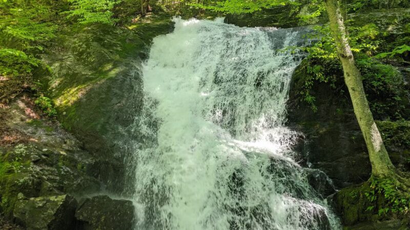 Crabtree Falls Parking Lot - Tyro, VA