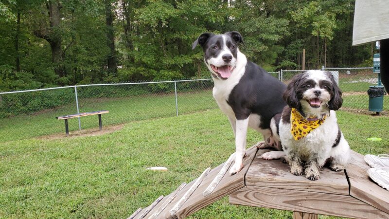 Fabon Brown Park - Tyrone, GA