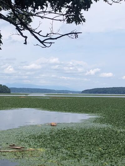 Esopus Meadows Preserve - Ulster Park, NY