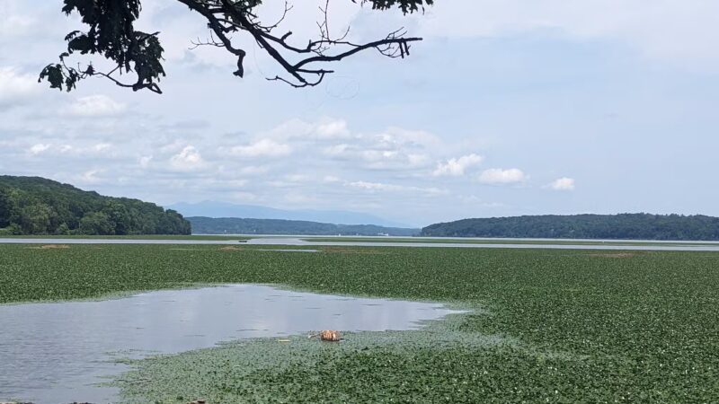 Esopus Meadows Preserve - Ulster Park, NY