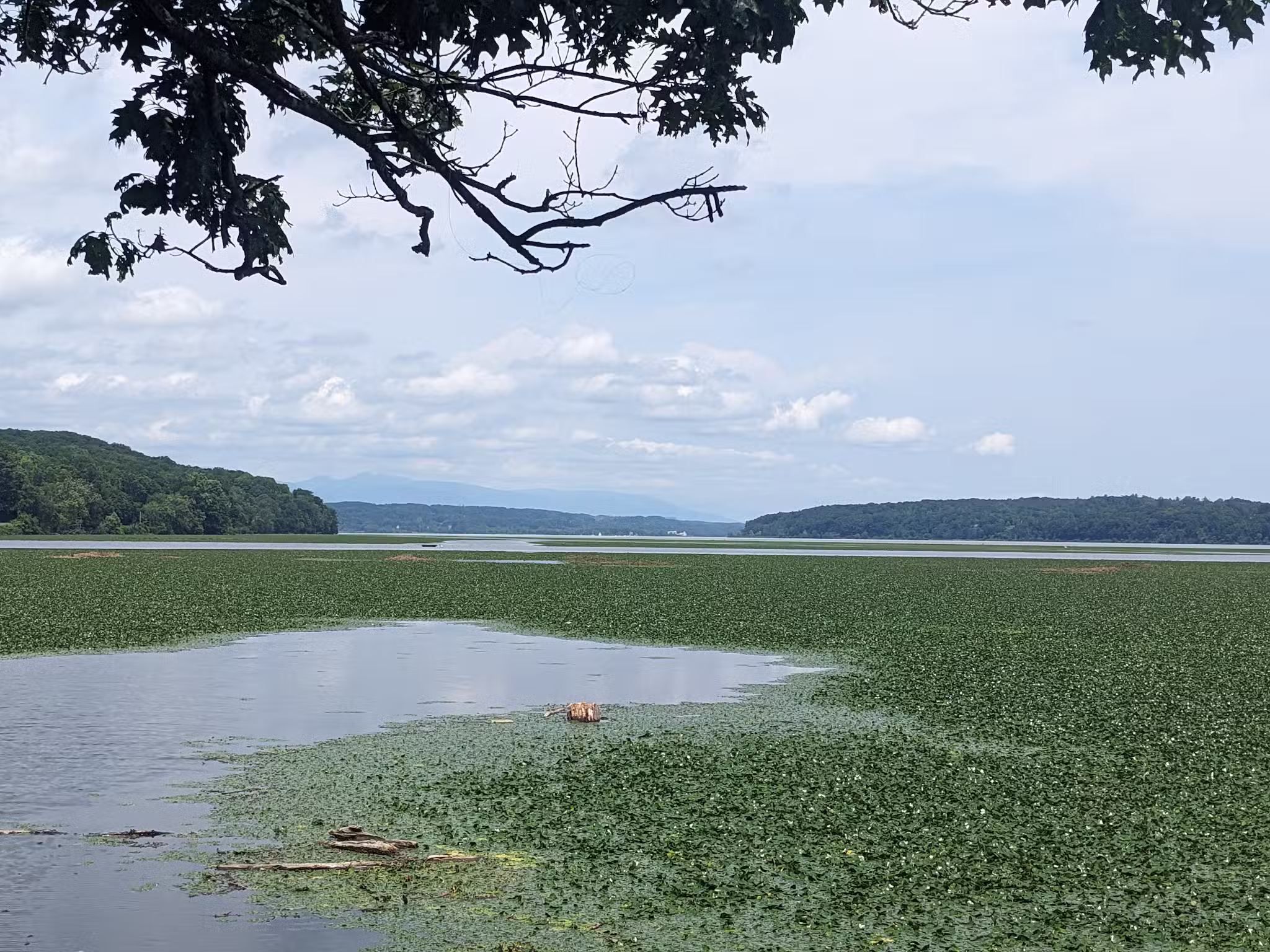 Esopus Meadows Preserve - Ulster Park, NY